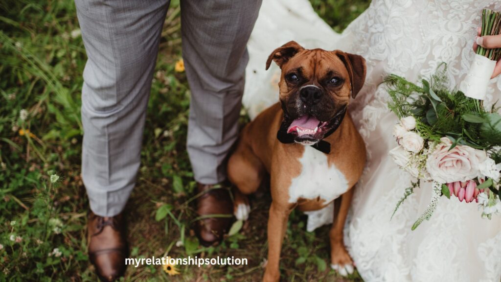 Wedding photo with dog